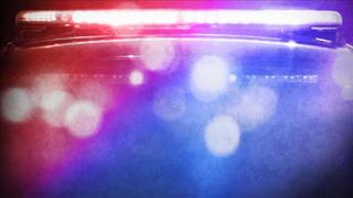 Friendly dog causes northern Idaho car crash