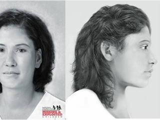 Pollen analysis may help in cold case