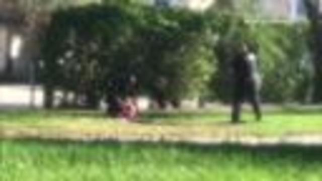 Florida school shooting leaves 17 dead